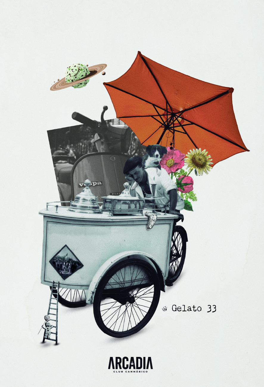 Etiqueta oficial de Gelato 33